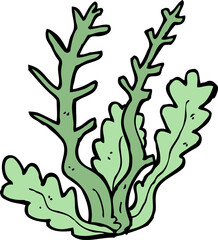 cartoon seaweed © lineartestpilot