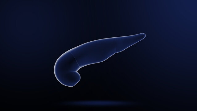 Human Organ pancreas 3d illustration