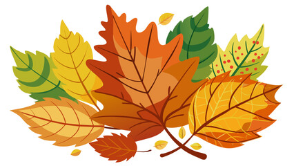 Obraz premium autumn leaves collection vector illustration