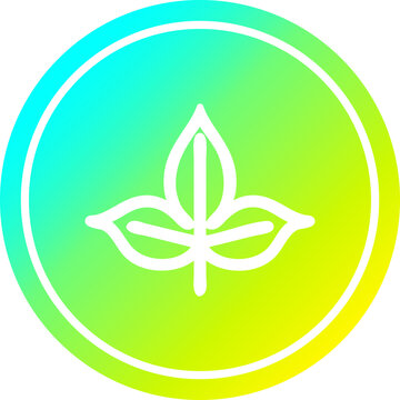 natural leaf circular icon with cool gradient finish