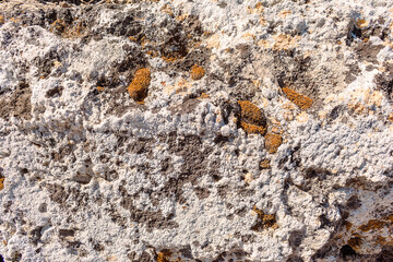 Background is a relief stone background with lichen on it. Ancient stone surface.