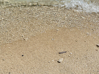 沖縄の波と白浜