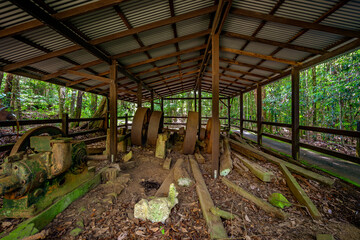 Fototapeta premium Historic Sawmill in Springbrook National Park, Queensland, Australia