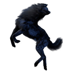 3D Rendering Black Wolf on White