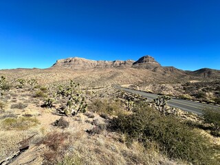 landscape in the desert