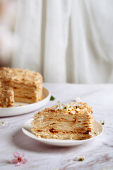 Homemade Napoleon cake, space for text, colorful appetizing background