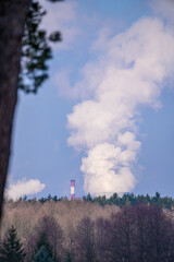 Kominy elektrowni węglowej w Polsce i kłęby białego dymu pary wodnej - obrazy, fototapety, plakaty