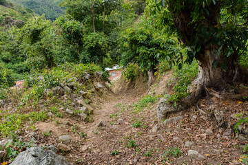 Obraz premium naturaleza zona andina Colombiana