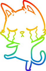 Fototapeta premium rainbow gradient line drawing of a crying cartoon cat performing a dance