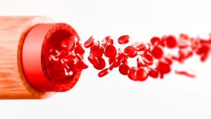 Red blood cells flowing out of a Bloody veins isolated on white background. 3d illustration