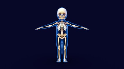 Child Body with skeletal system 3d illustration - obrazy, fototapety, plakaty