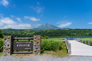 オタトマリ沼