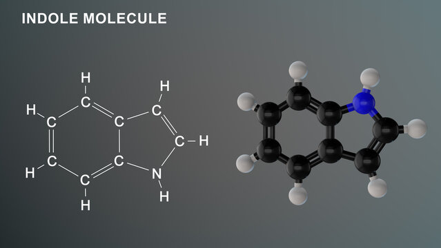 Indole Molecule structure 3d illustration