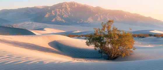 Foto auf Glas a serene desert landscape at sunrise, showcasing the play of light and shadows on the sand dunes © Uwe