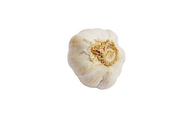 Garlic on transparent background.