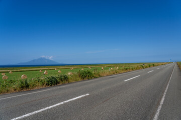 Fototapeta premium 夏のサロベツ原野