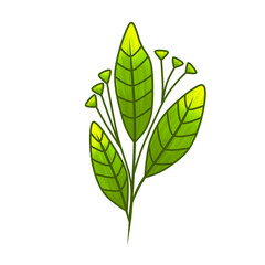 green leaves illustration