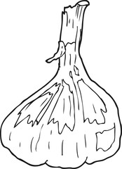freehand drawn black and white cartoon garlic