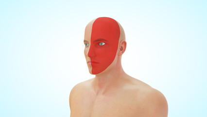 Types of Headache (Hemicrania) 3d illustration