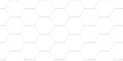 Fototapeta na wymiar seamless pattern with hexagons. Abstract background with lines. Modern simple style hexagonal graphic concept. Background with hexagons.