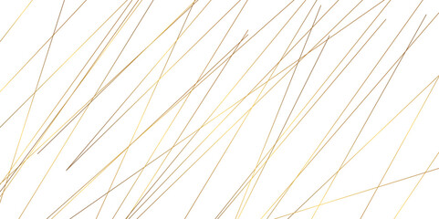 Obraz premium Abstract background with lines. Golden lines on White paper. Line wavy abstract vector background. 