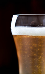 Glass of beer on dark background. Copy space.