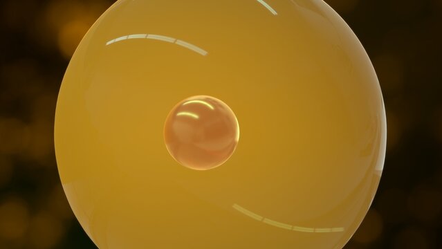 Microspore mother cell 3d Illustration
