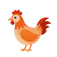 Fototapeta premium Rooster, han, chicken bird art drawn on white