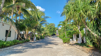 Playacar street view in the daytime