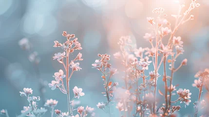 Plexiglas foto achterwand A beautiful variety of flowers bloom under the sunny skies in a grassy field © Yuri