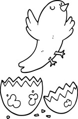 cartoon bird hatching from egg