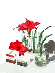 A white table showcasing various glass bottles, dishes, podiums and test tubes filled with an assortment of red hibiscus flowers and fern leaves.