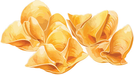 Shells or conchiglie. Hand-drawn Italian pasta. Rea