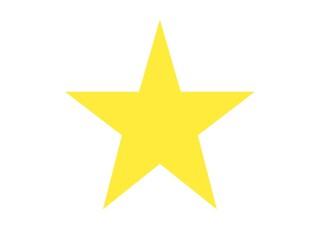 Obraz premium Gold star isolated on white background.Vector one golden yellow star on white background.