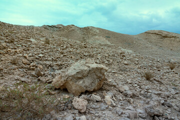 Dry gravel-argillaceous red desert, hamada. Krasnozem predominates - ferruginous soil. Emirate of...