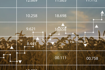 Grain prices. Wheat field and graph, double exposure