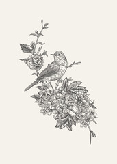 Isolated composition with bird and flowers. Cherry, rose, willow warbler. Black and white. - 775973630