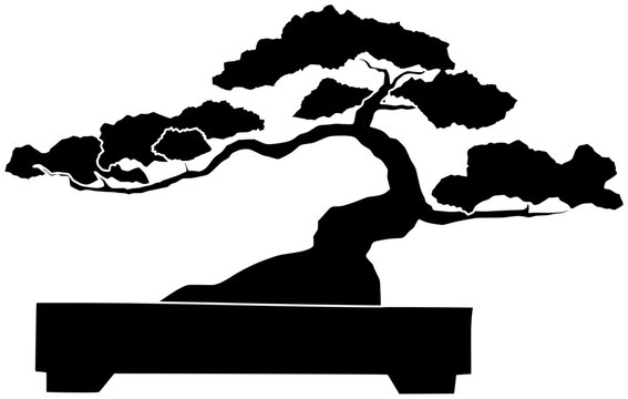 black bonsai tree silhouette on white clip art preview
