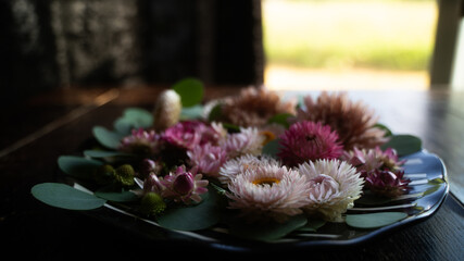 Strawflowers on a plate
