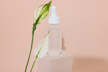 A transparent bottle of beauty serum being exhibit in a pink background with white plant and bubbles