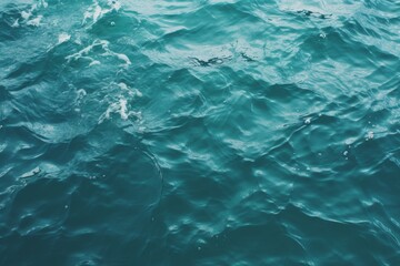 Obraz premium Exploring the intricate marine and oceanic patterns captivating designs inspired by the sea