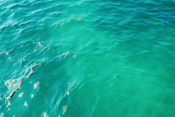 Captivating marine and oceanic patterns  intricate designs inspired by the beauty of the sea