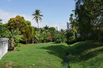 Tuinposter Erholungs- und Kulturpark Omar in Panama-Stadt © Falko Göthel