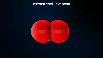Fotobehang O2 covalent bond isolated in 3d illustration © 7activestudio