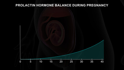 Prolactin hormone balance during pregnancy graph 3d illustration