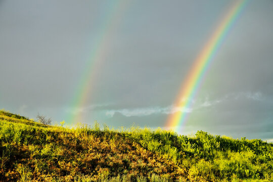 Double Rainbow over meadows