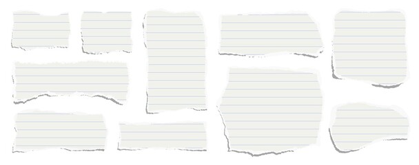 Elongated horizontal set of torn pieces of lined paper isolated on a white background. Paper collage.