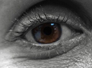 Grayscale closeup shot of a brown human eye