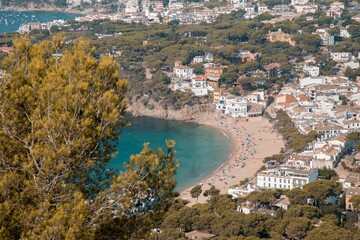 Fototapeta premium Bird's-eye view of a city by a coastline