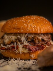 Vertical shot of a burger with parmesan cheese on a dark background.